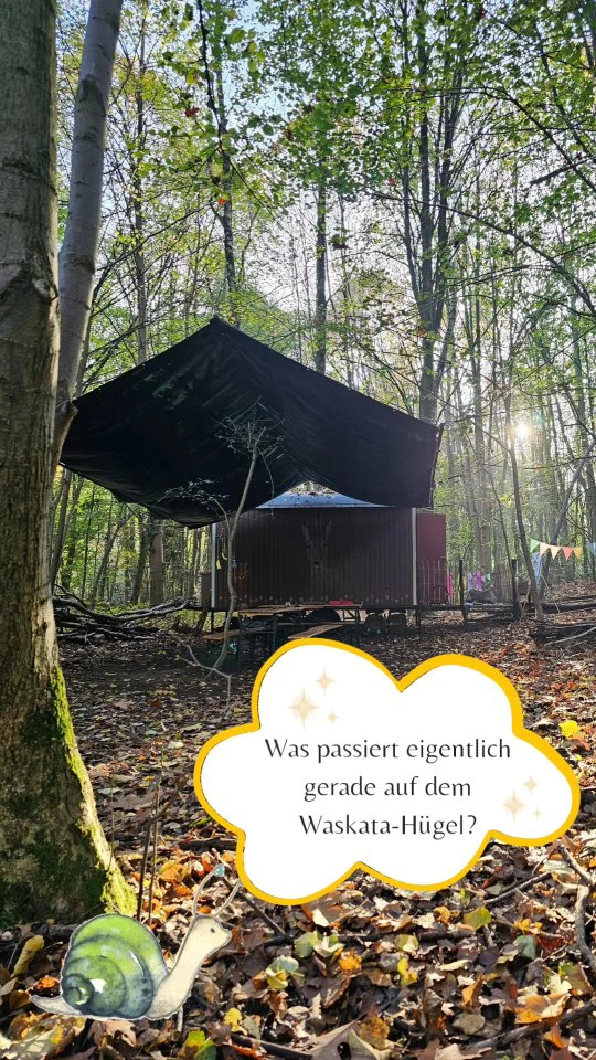 🌟💛👇🤗🦋
...viele neue Anmeldungen für 2025 sind schon eingegangen (jiiiiiihaaaaaaaa🙏🙏🙏🌟) und anstatt des angekündigten Winterschlafs (die Spielgruppenkinder glauben vielleicht wirklich, dass wir uns wie ein Igel im Laub einbuddeln und erst nächstes Jahr aufwachen) werkeln wir zurzeit sehr fleißig:

🌟Andreas beschafft Holz, Holz, und nochmehr Holz. Viele Tippis und Themenkreise sind verwittert und dürfen neu gebaut und ausgebessert werden

🌟Der Bauwagen soll mit einer funktionalen Heizung ausgestattet werden und braucht einige Reperaturen

🌟Das Waldmobil bekommt Inspektion, neuen TÜV und freut sich über Ordnung und Bestückung der Waldkisten

🌟Das Büro ruuuuft mich jeden Morgen sehr laut, denn es wartet hier wohl ein riesen Berg Arbeit..und weil ich aber so ein Bewegungs-Hibbel bin, zieh ich lieber auch die Laufschuhe an...und quetsche die Bürozeit auf den Abend

🌟Das bestehende Konzept wird ergänzt durch zauberhafte Lieblingsfach-Stunden. (Hier zaubere ich gerade  Raummöglichkeiten)

🌟Ich führe Info-Gespräche zum Thema Hochsensibilität und neurodivergente Gehirne...

🌟...und dazwischen ist es wohl wie bei Allen momentan...wow...knüppelvoll mit Alltagswahnsinn..

🌟achso..und dann hat sich ja noch ein kleiner Stachelfreund eingenistet, der Wknterschlaf-Hilfe benötigt... Pünktchen zieht am Wochenende in unseren geschützten Garten ein und darf hier bis ins nächste Jahr hoffentlich ganz friedlich schnarchen...

Und der Waskatahügel? Wird wieder ein zauberhafter Lieblingswald für viele Kinder, Familien, Kindergärten und Schulklassen...

#Waskatahügel 
#hinterdenkulissen
#Planung
#2025
#Schule
#waldkinder
#achtsamkeit
#Kindergarten
#draußen
#dankbar
#waldliebe
#lieblingsfach
#naturmentorin
#verbunden
#waskata_herzenspaedagogik