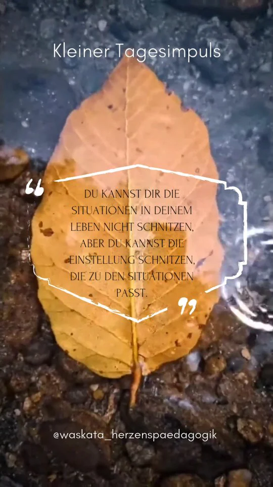 🌟💚💙💜

#draußen 
#Schnitzen
#Alltag
#achtsamkeit
#wildnispädagogik 
#fühlen
#herzensbildung